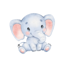 Daxiang , 巨象国内梯子加速器