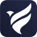 Feiniao , 翱翔的鸟儿国内梯子加速器