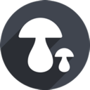 Mogu , 香菇国内梯子加速器